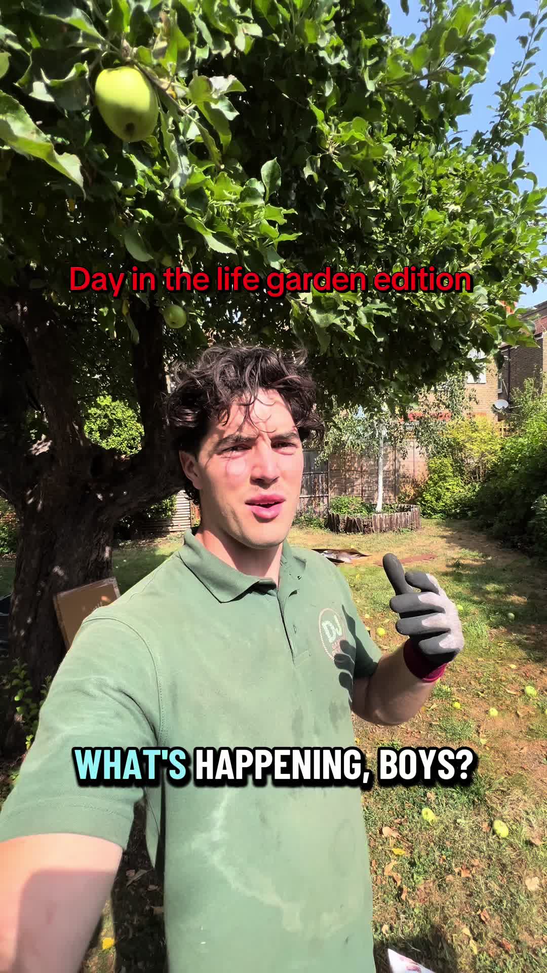@Dan