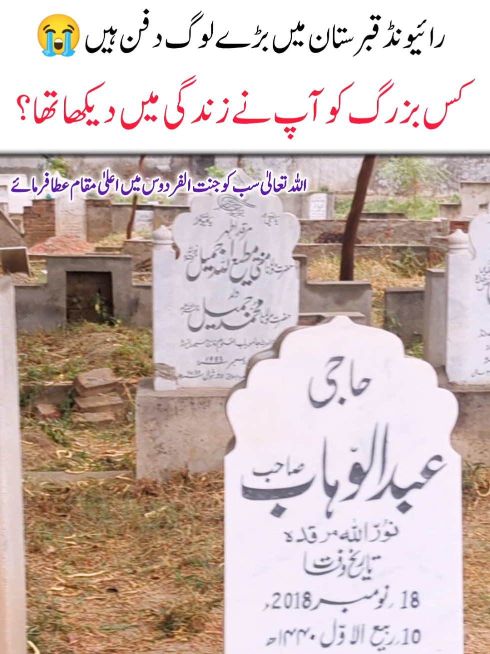 @Salman Ummati®