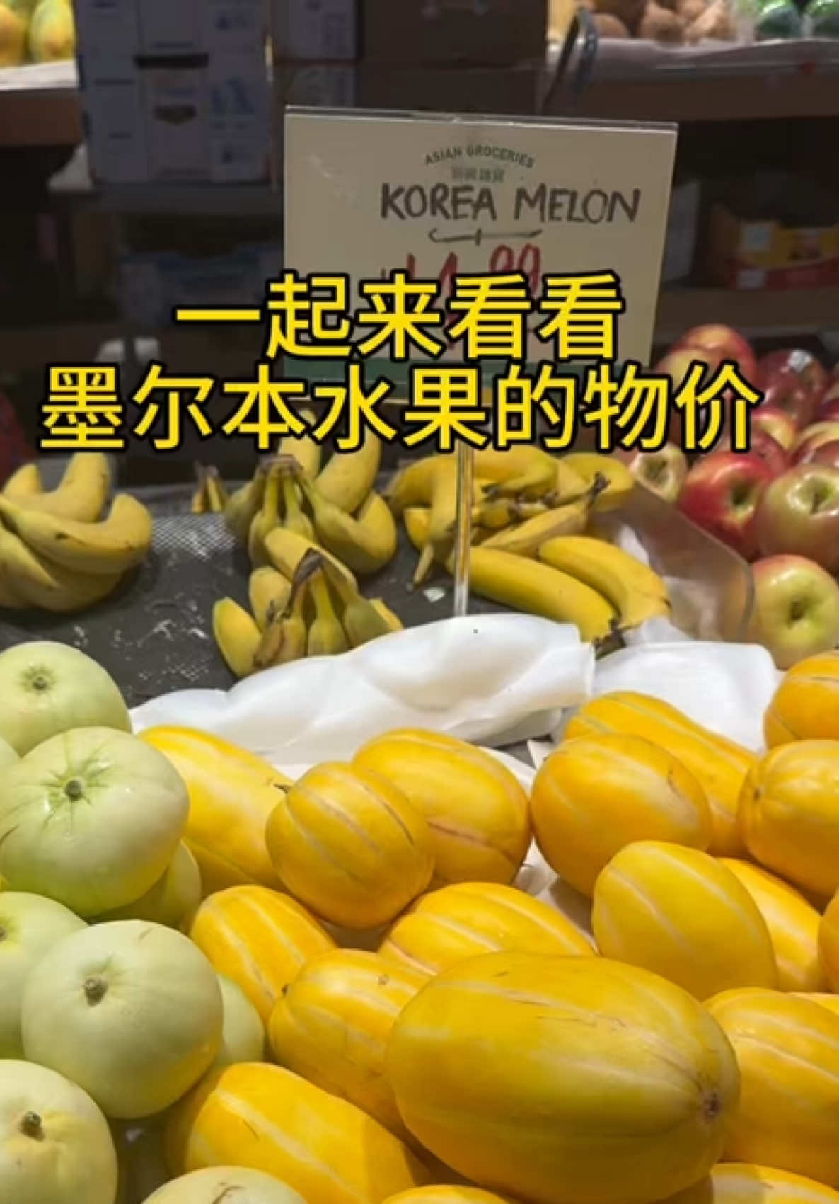 @文文在澳洲