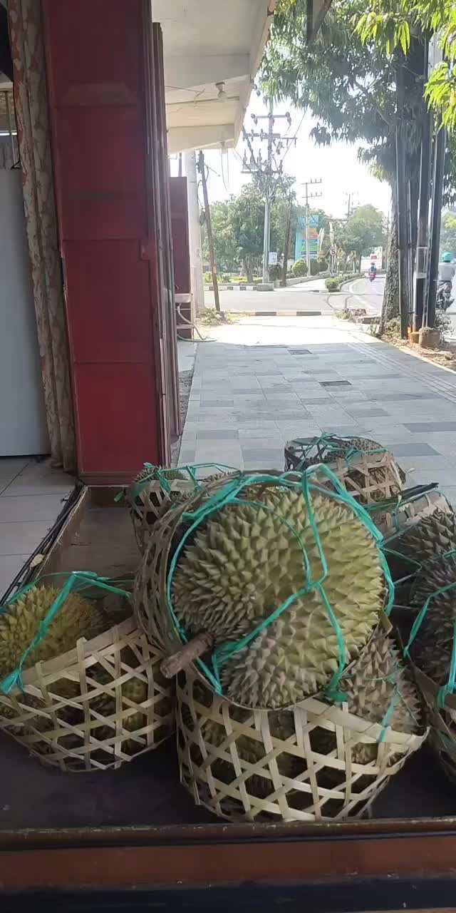 @Kenzhi Durian Tuban