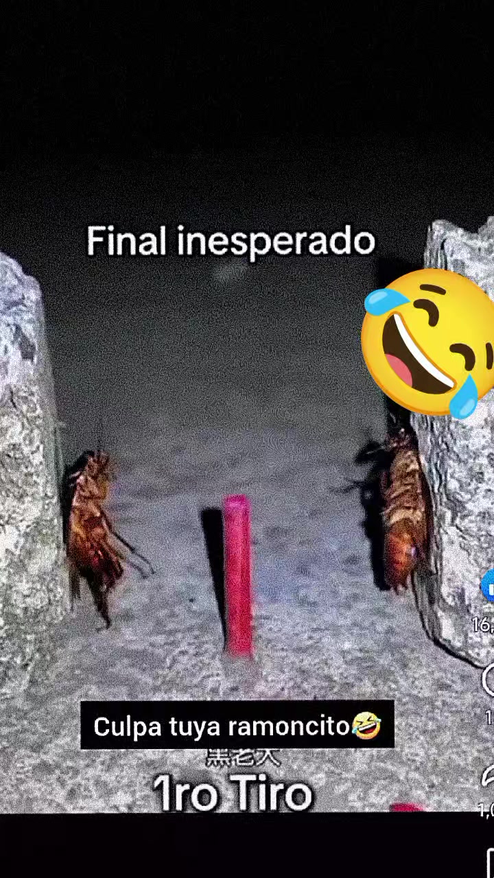 @nico..23