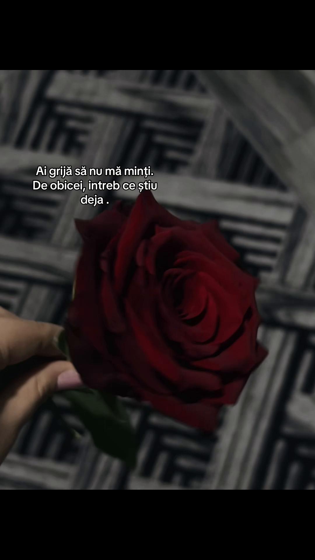 @✨️Denisa✨️