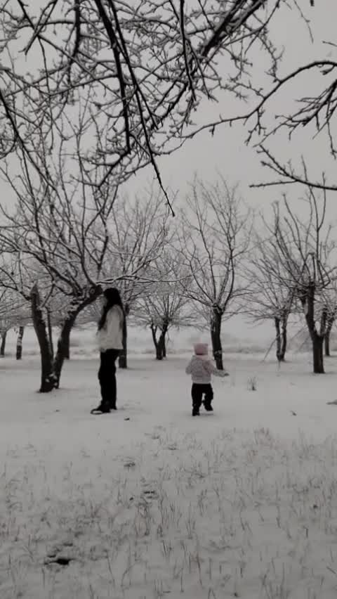 @ŞHAMKİRLİ🧸