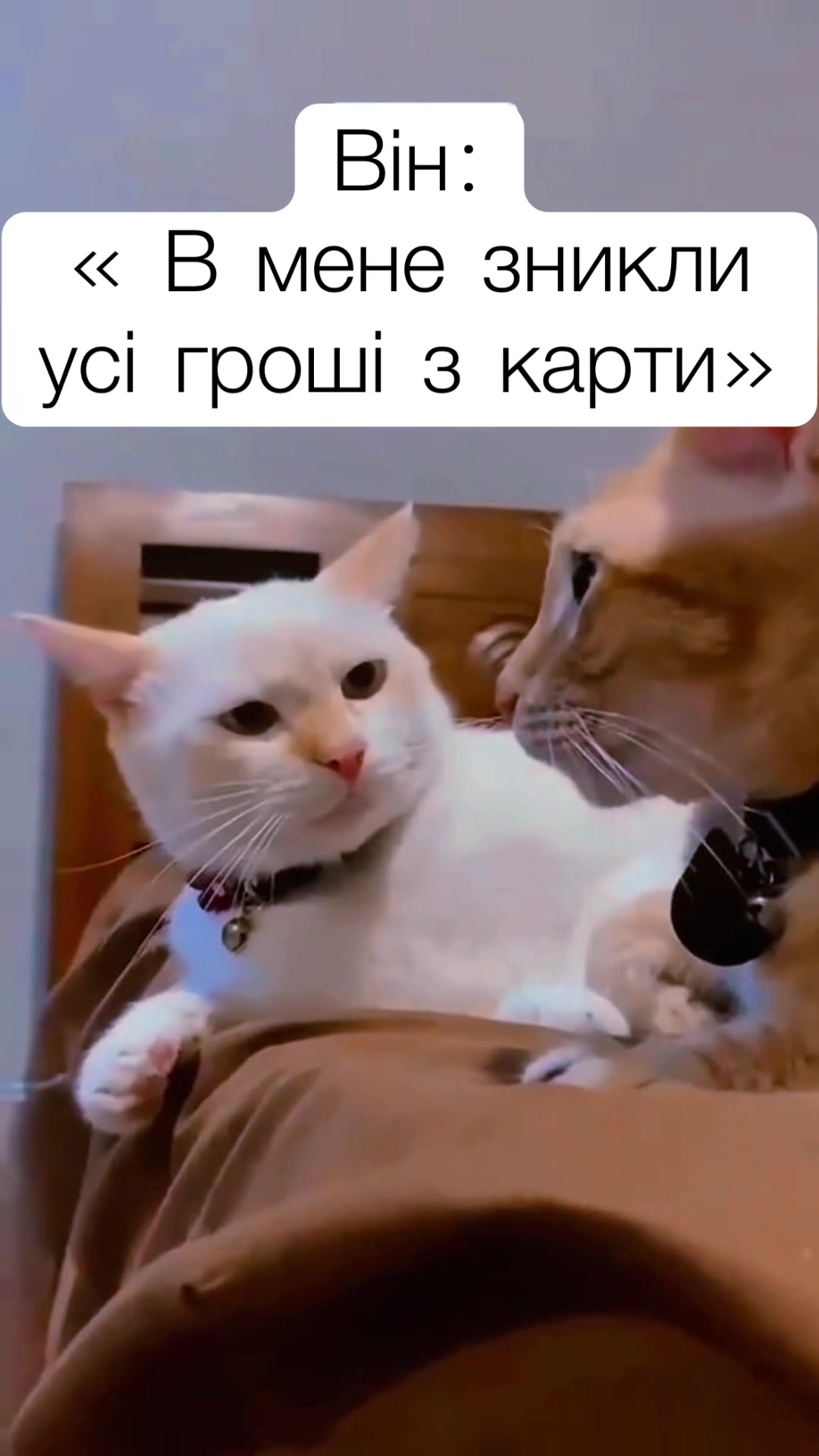 @Ravkova