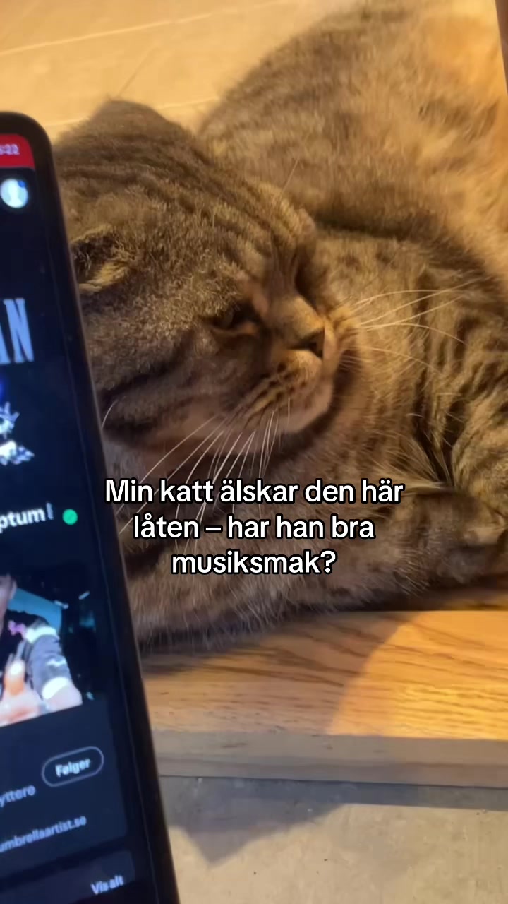@Oliver Hassel