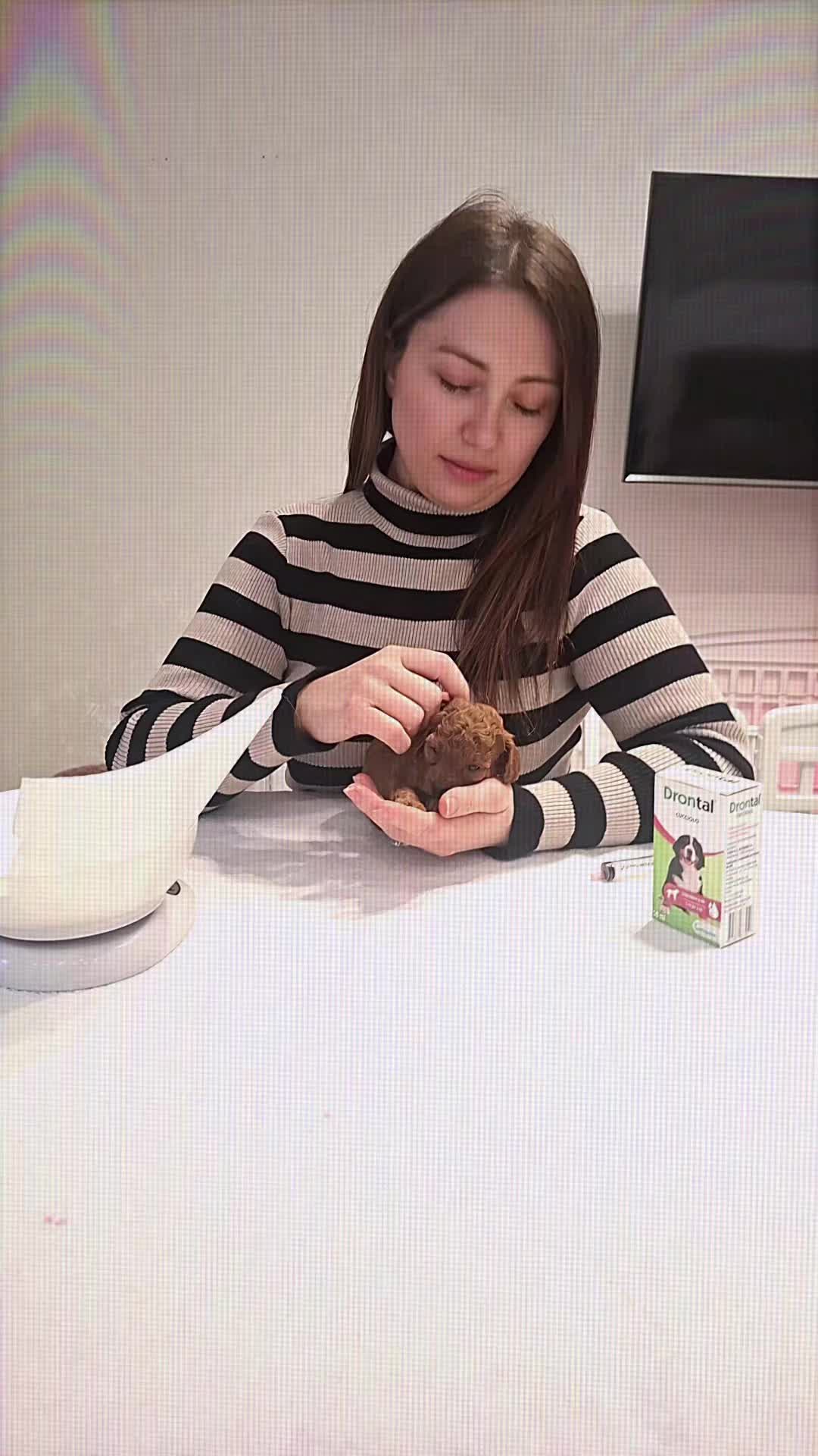 @MenaPalmieri