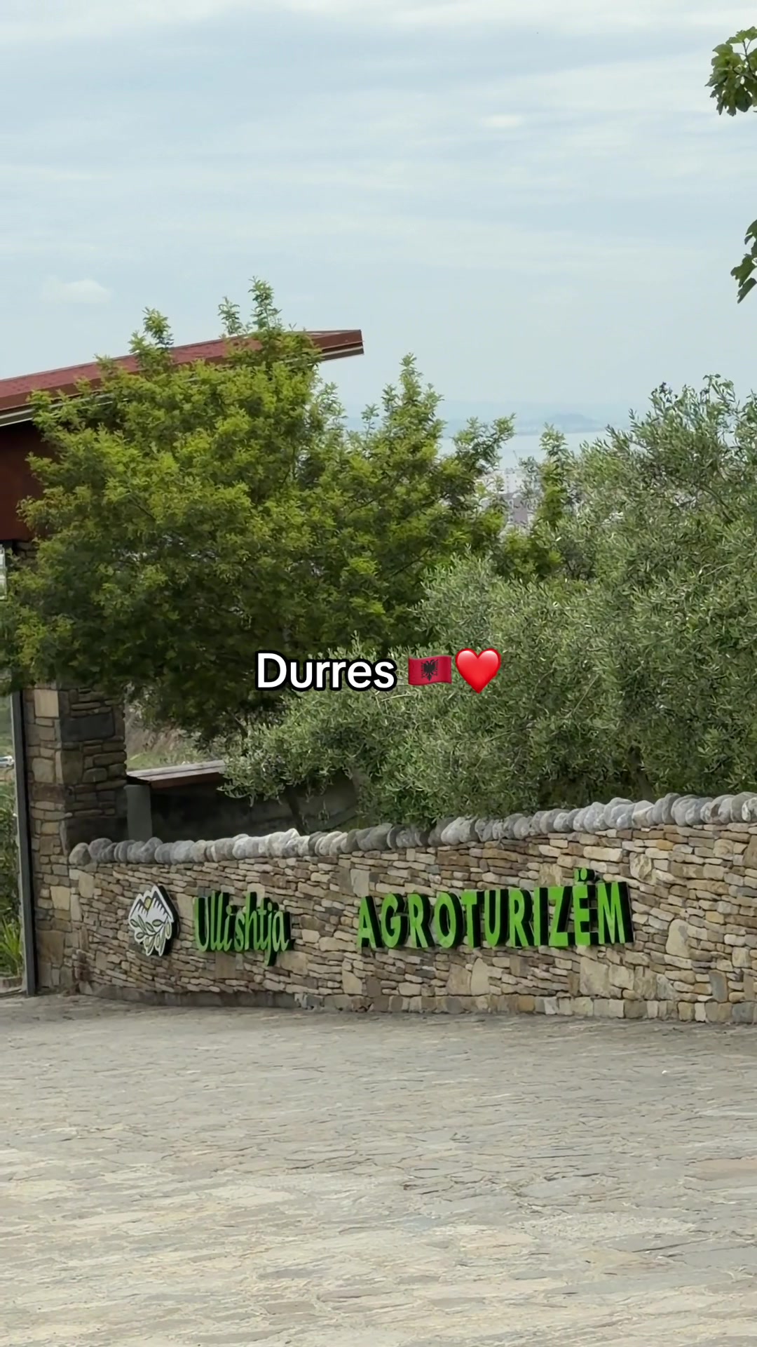 @evadede.it0