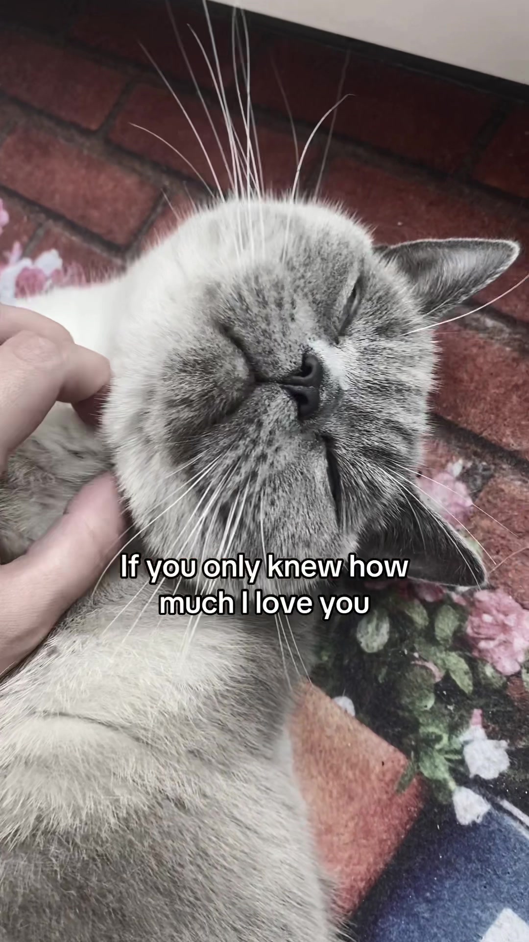 @user6746848