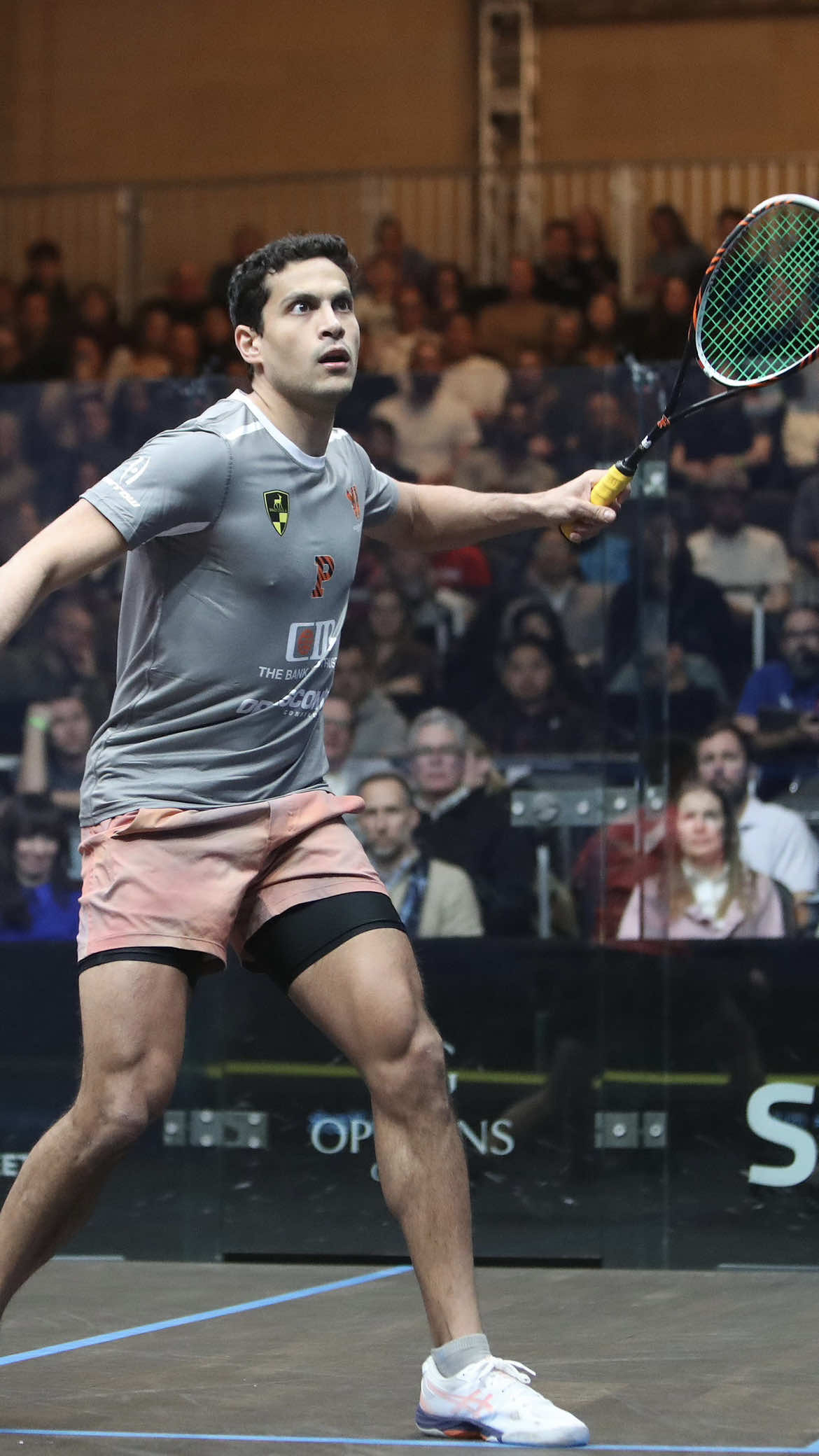 @SQUASHTV