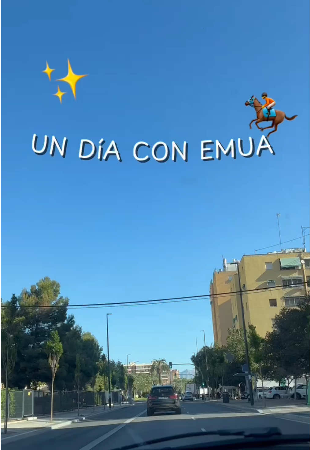 @emualicante_