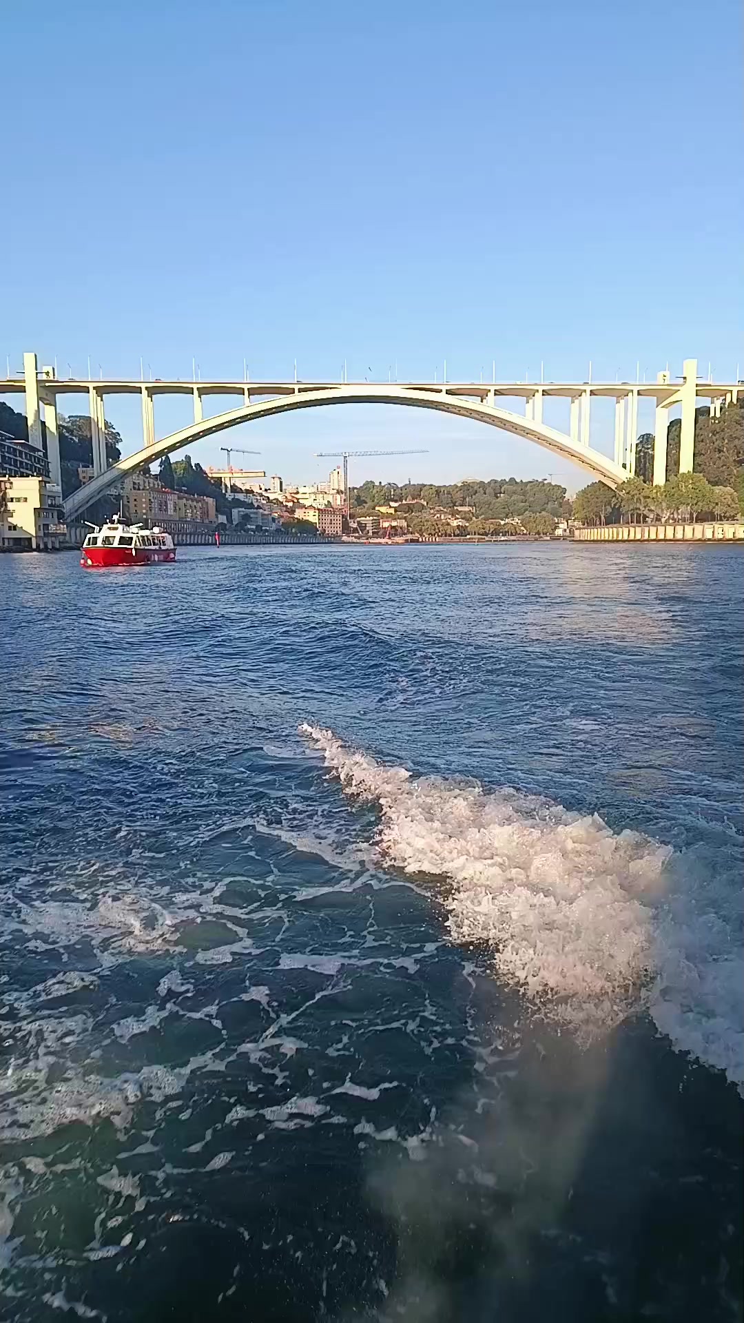 @porto ribeira