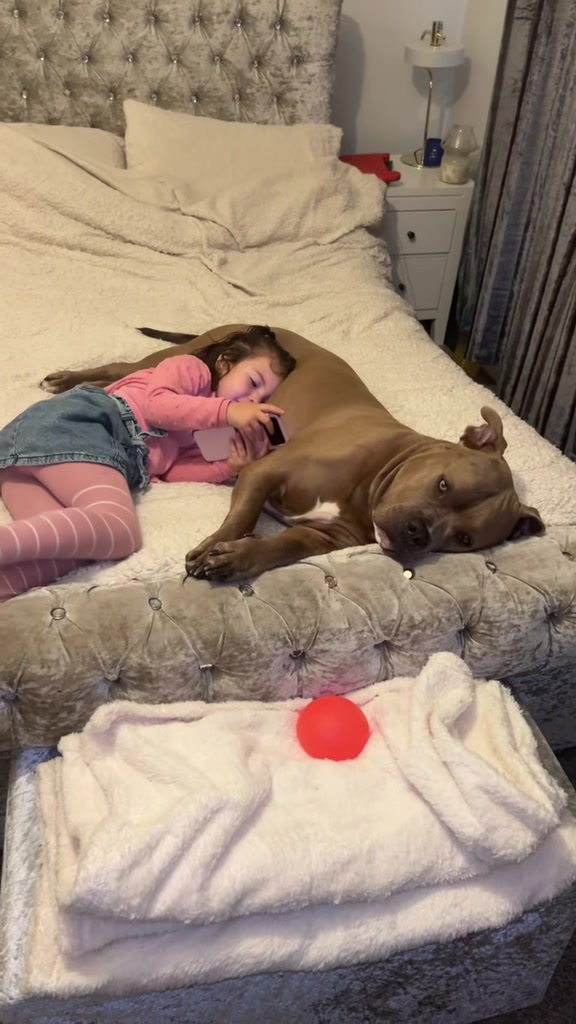 @Megs&Bear 🐶🖤