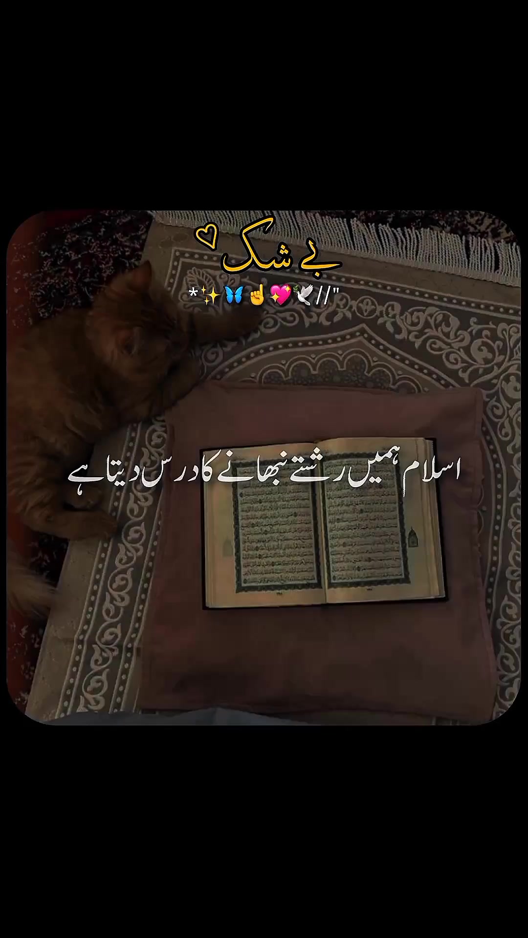 @✨dilawar edits✨
