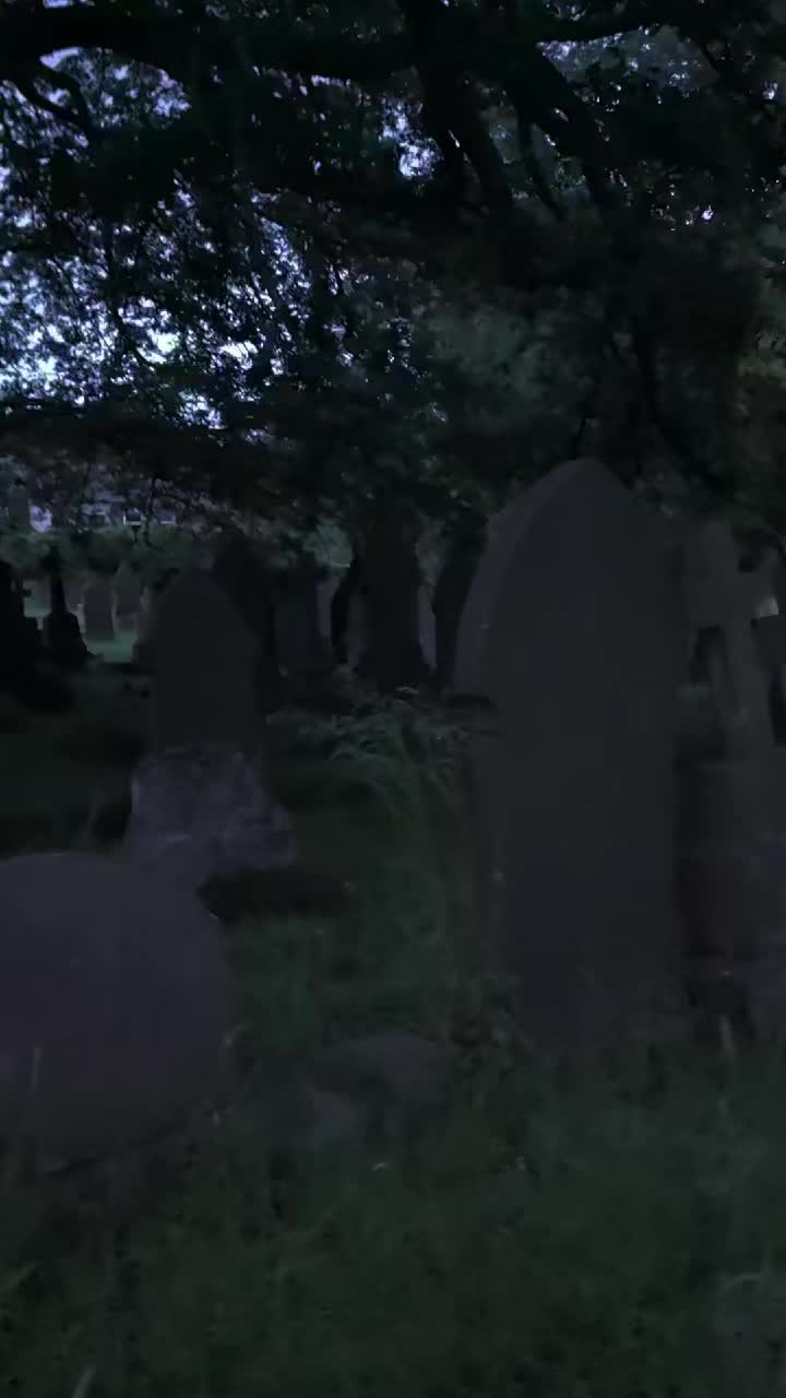 @GraveSnape🪦