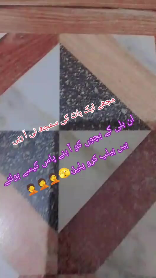 @alihassin865