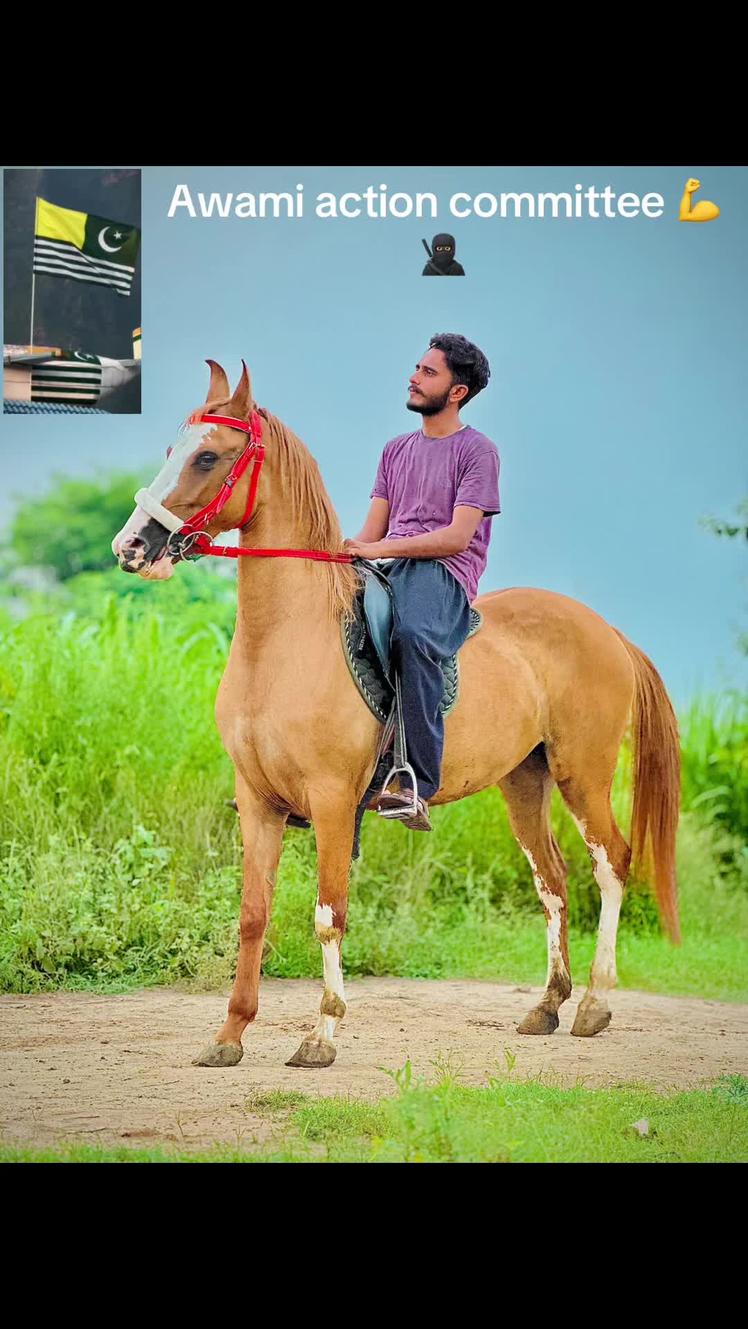 @Ch Hammad bokan ♥️🐎