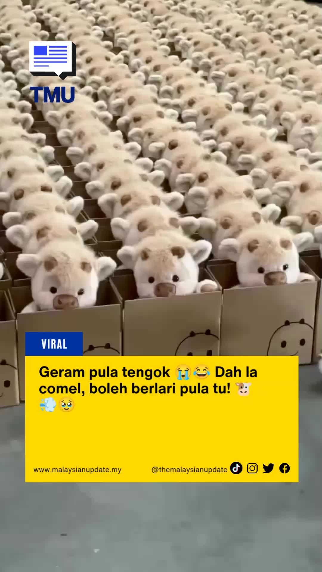 @Malaysian Update
