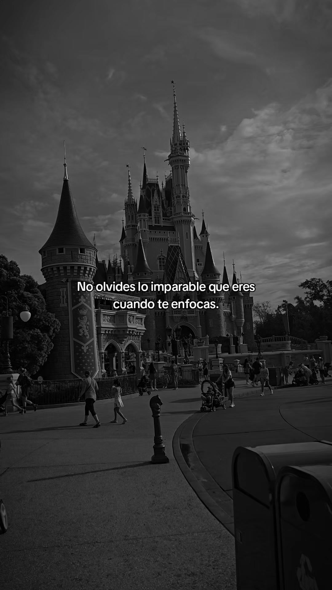 @Herika L.R