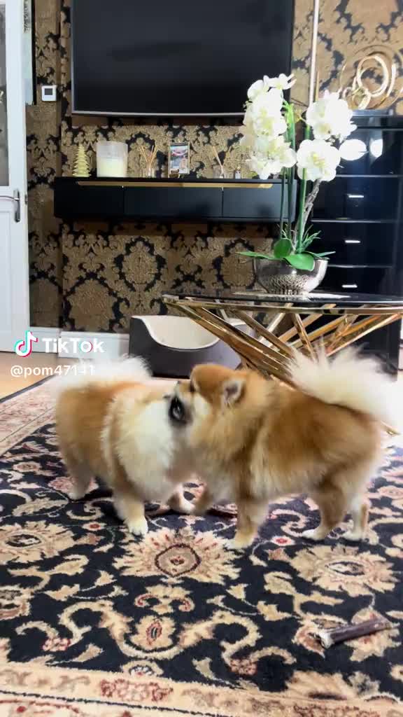 @Юльчик_937 🌊