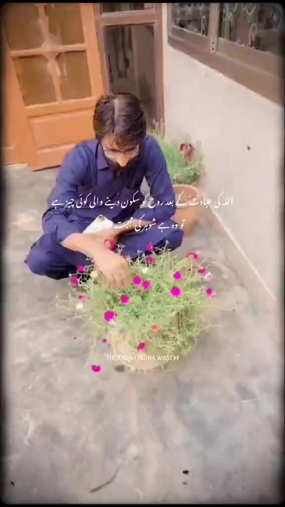 @Ayeshaarain