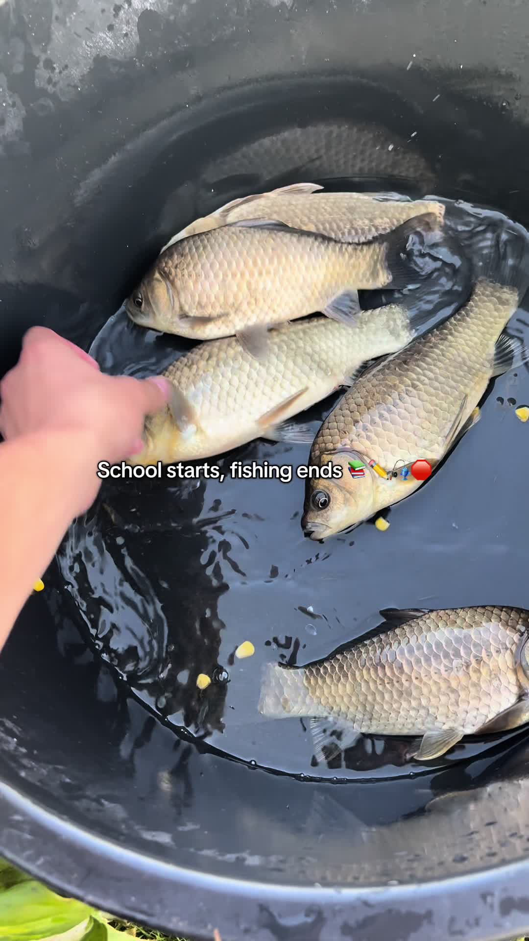 @Fishing With Alekss 🎣💎