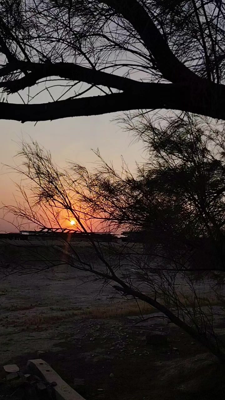 @واثقه بالله