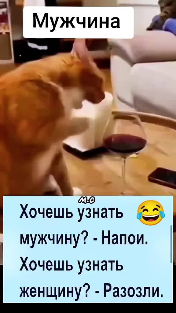 @ЛиЛеК