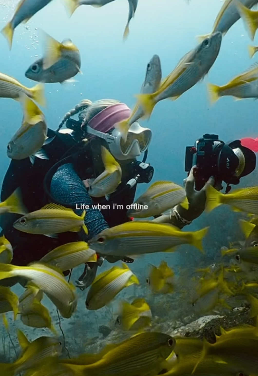 @Sandra | Scuba girl ๐ฉ๐ช๐ฌ๐ง