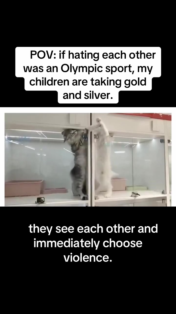 @onemixedbag
