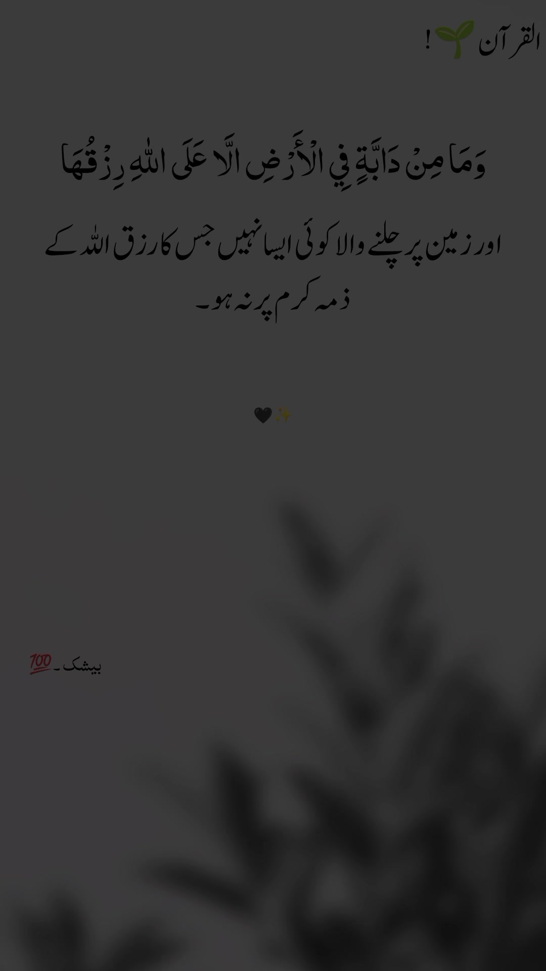 @SOHAIL KHAN