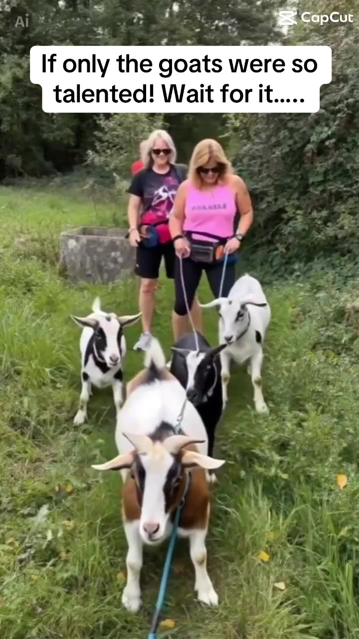 @GiddyAboutGoats