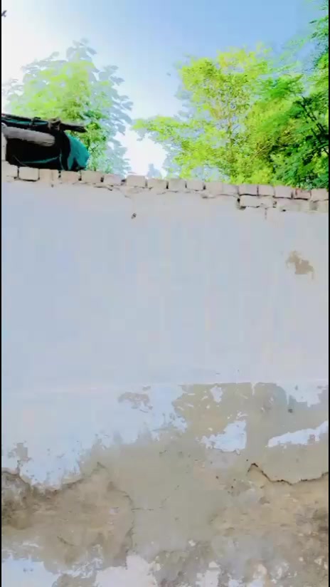 @akhtiyarmallah๐