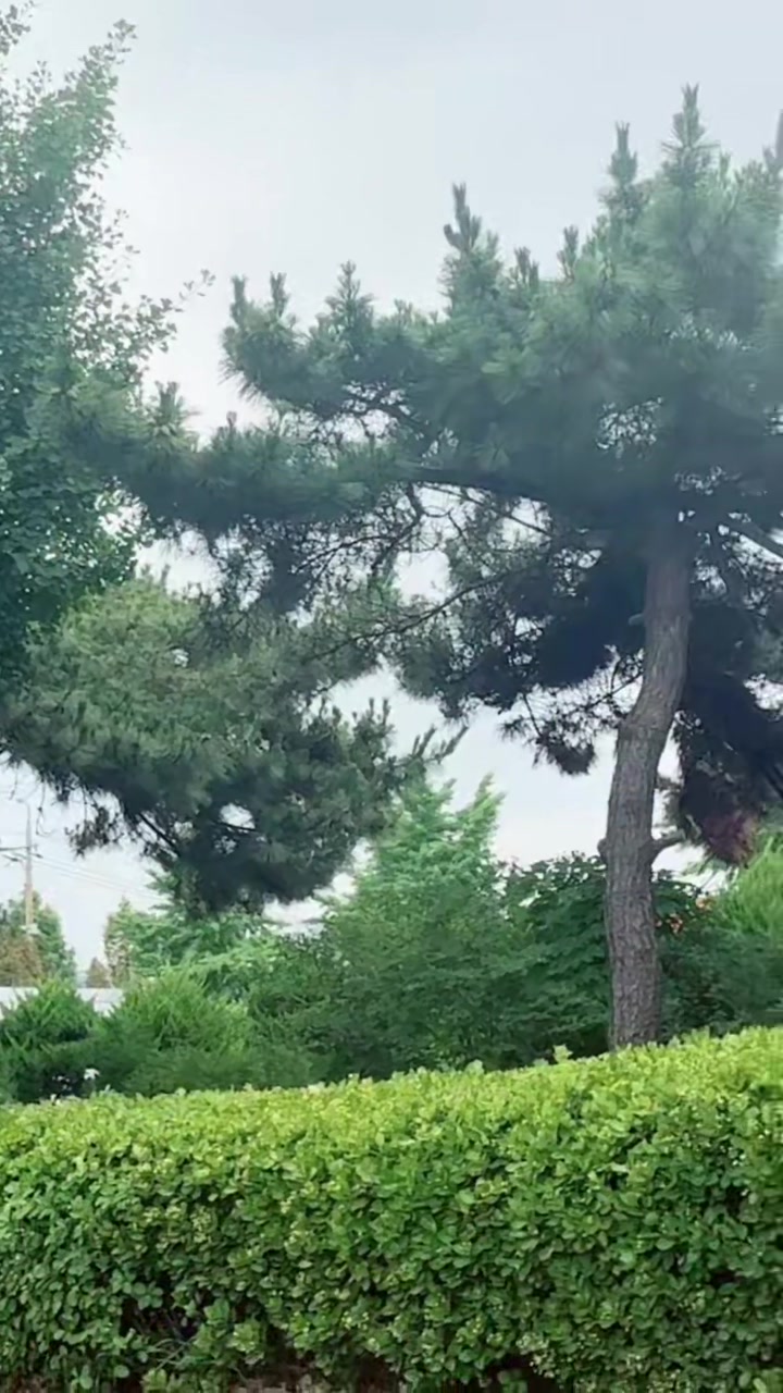 @shaista in korea