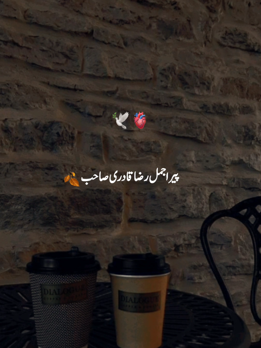 @𝐒𝐀𝐐𝐈𝐁 𝐄𝐃𝐈𝐓𝐒✨️