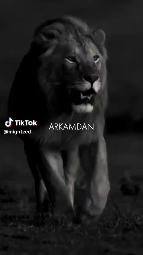 @48... 🇲 🇦 🇭 🇲 🇺 🇹 ...48