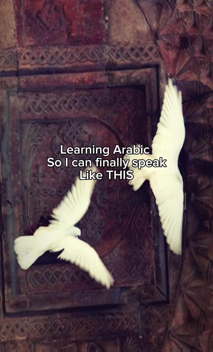 @The Safeer Arabic School