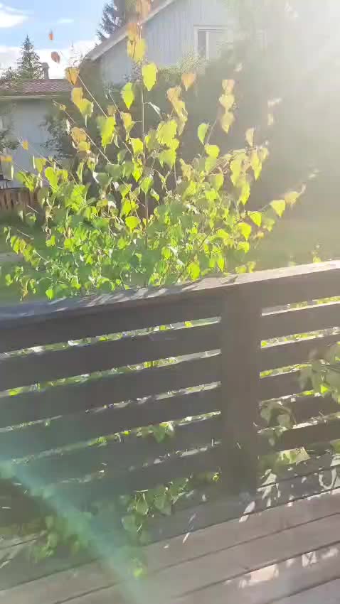 @Mirmeli