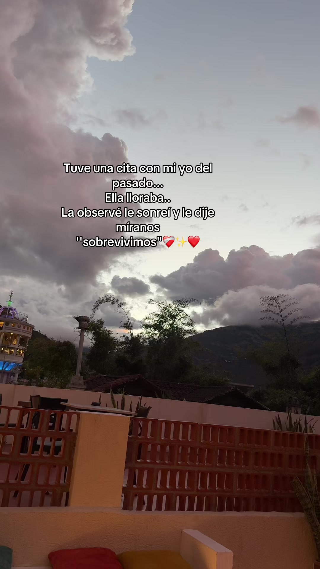 @Anita 🦋🐞