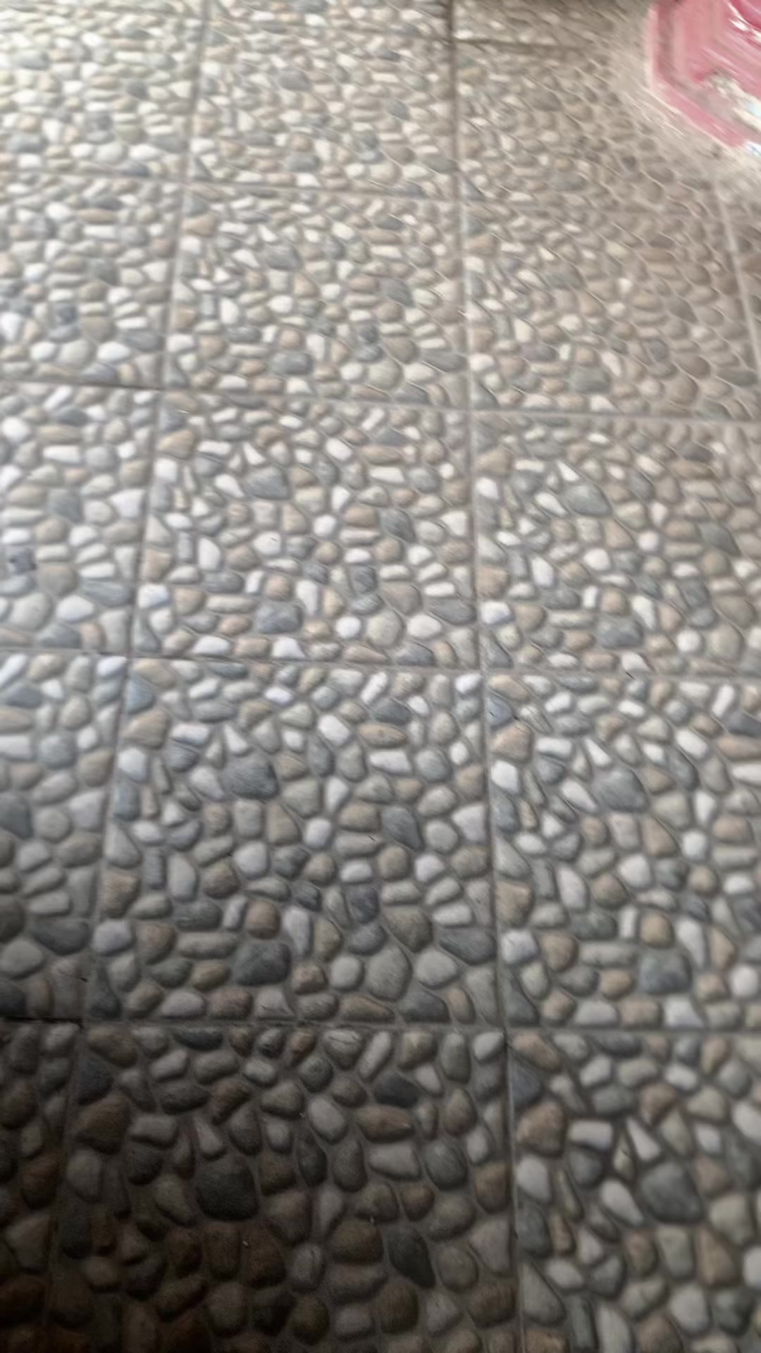 @๐ฝ๐๐๐๐โตโฐโต