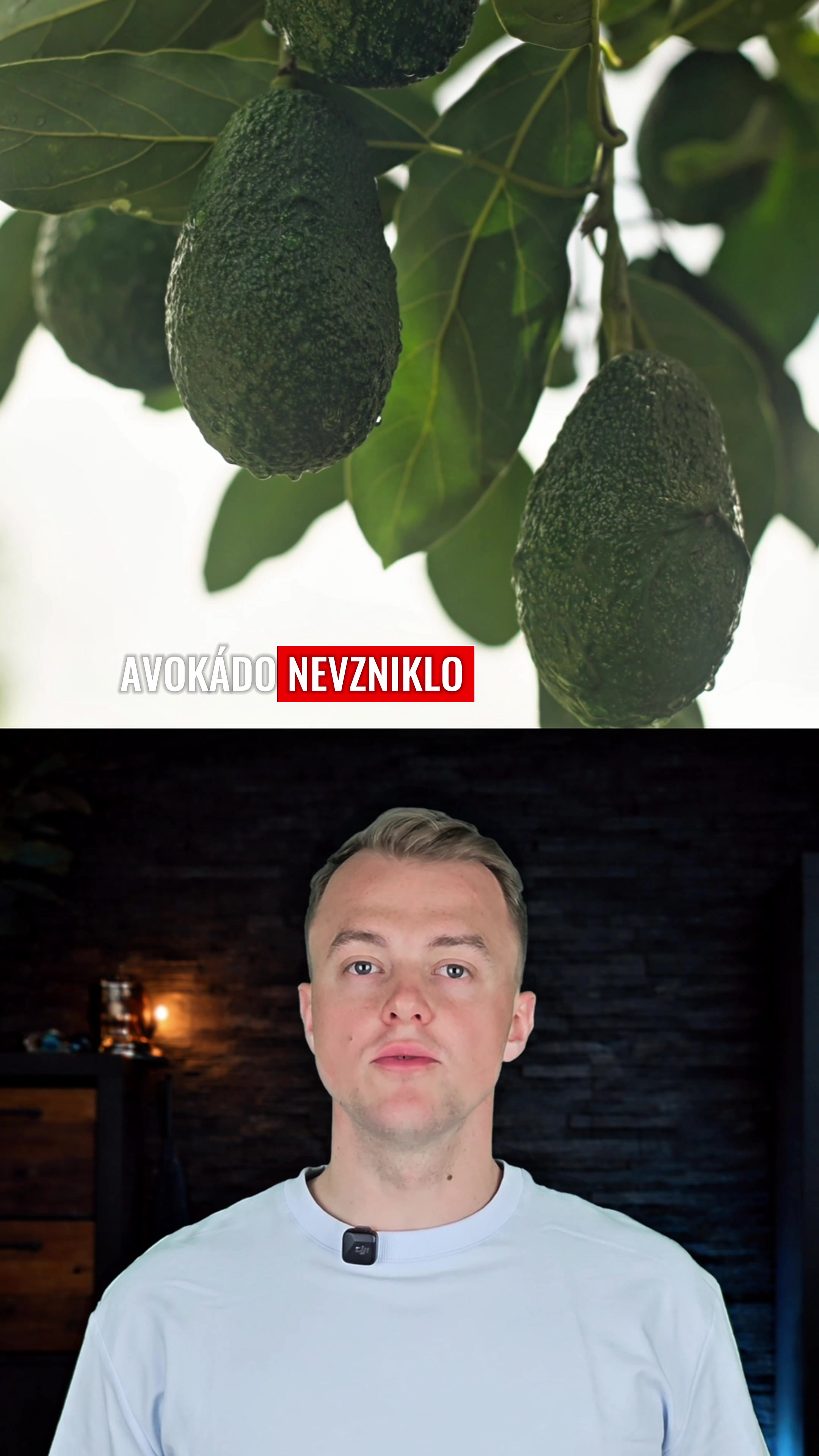 @Temné stránky světa