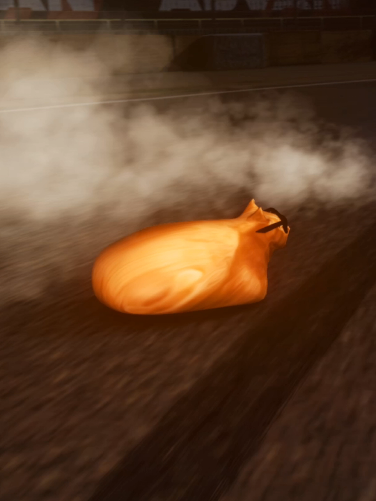 @Pablo the Race Cat