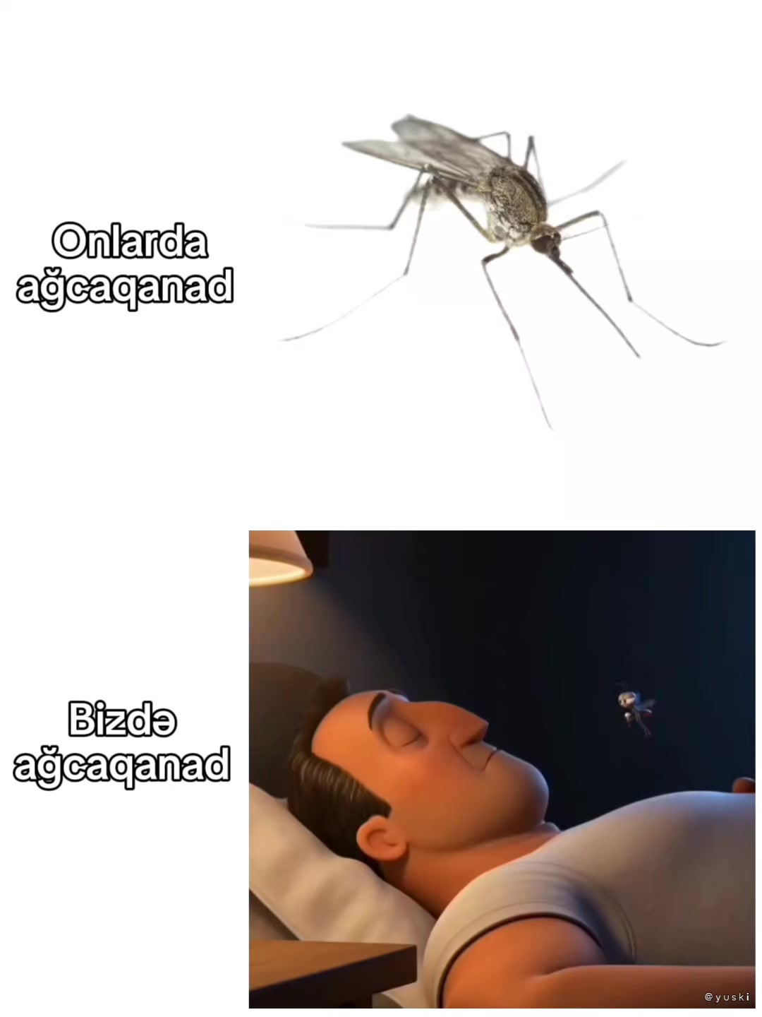 @𝙔𝙪𝙨𝙠𝙞シ︎