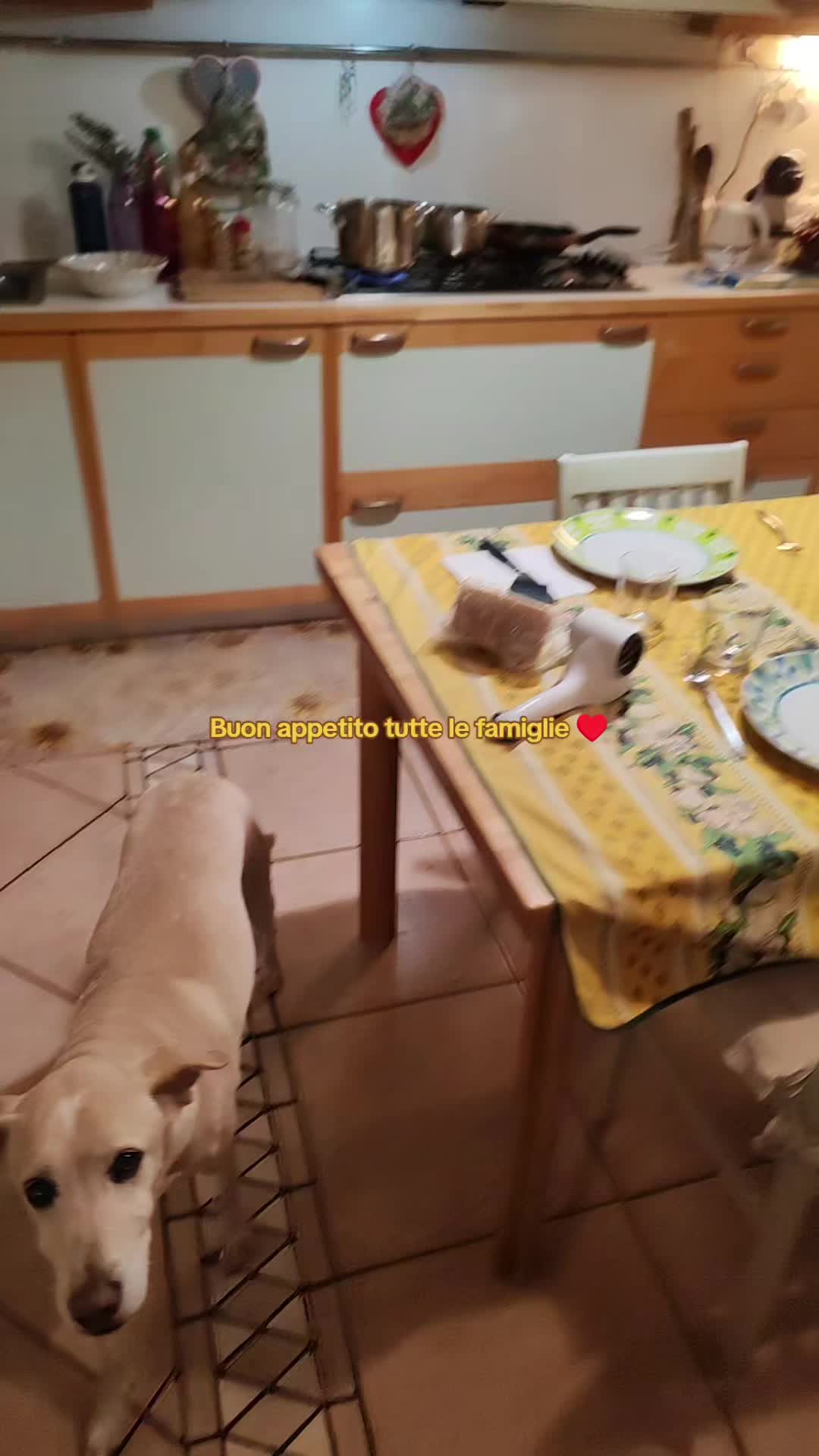 @Ilkarmamasterslave23