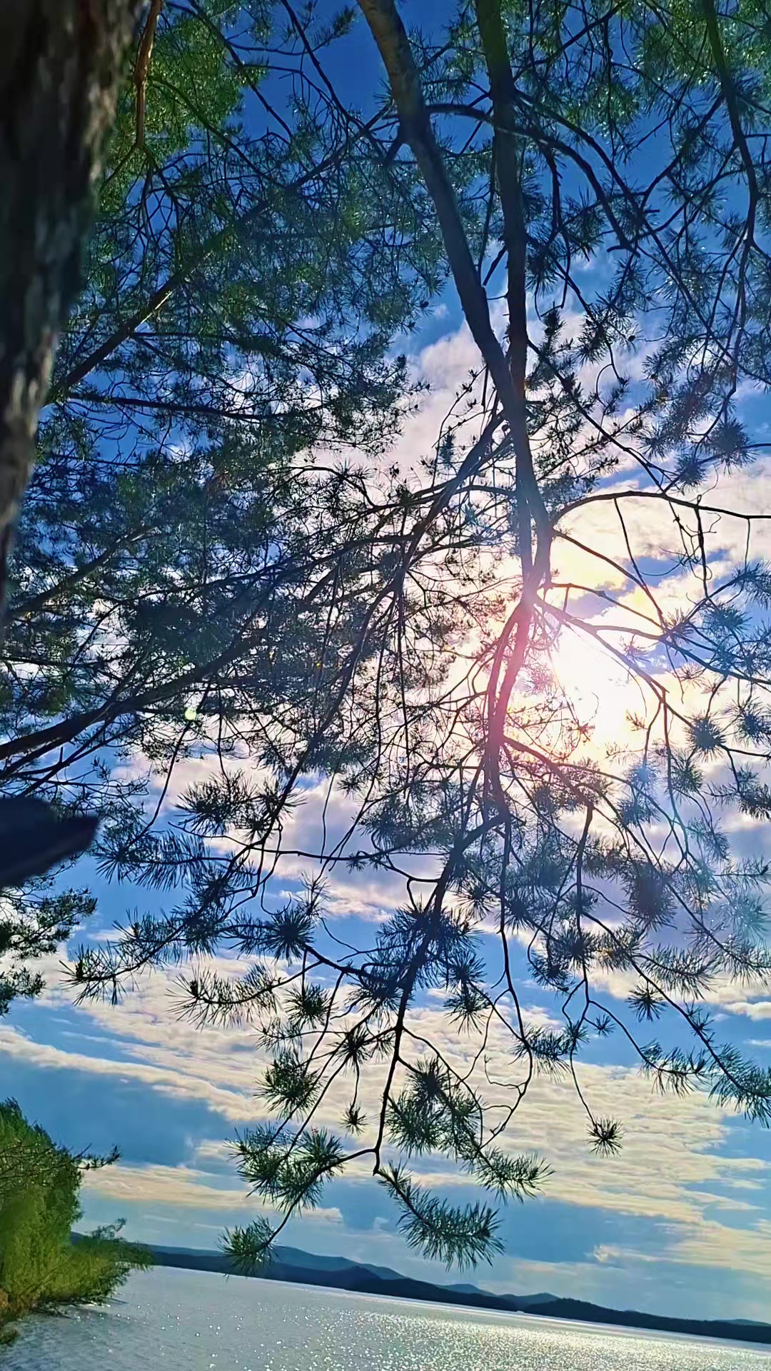 @Владимир
