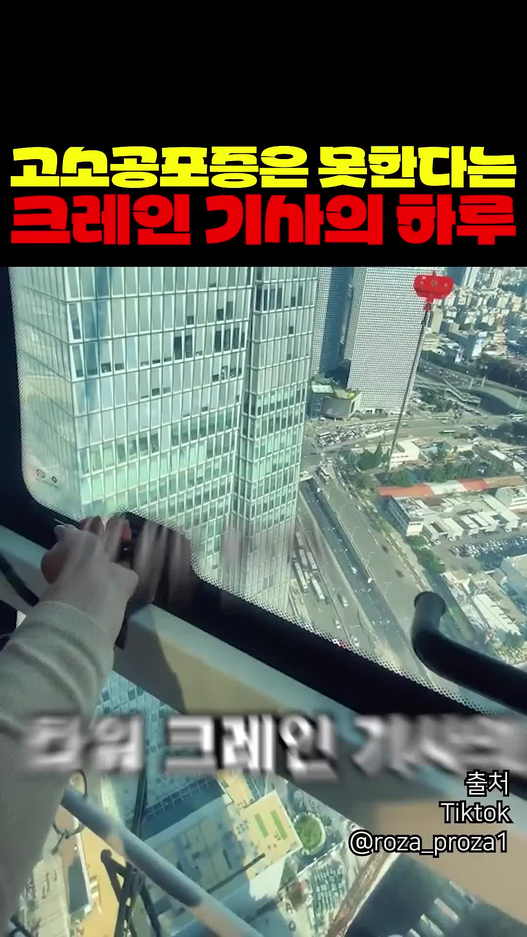 @짱아까미