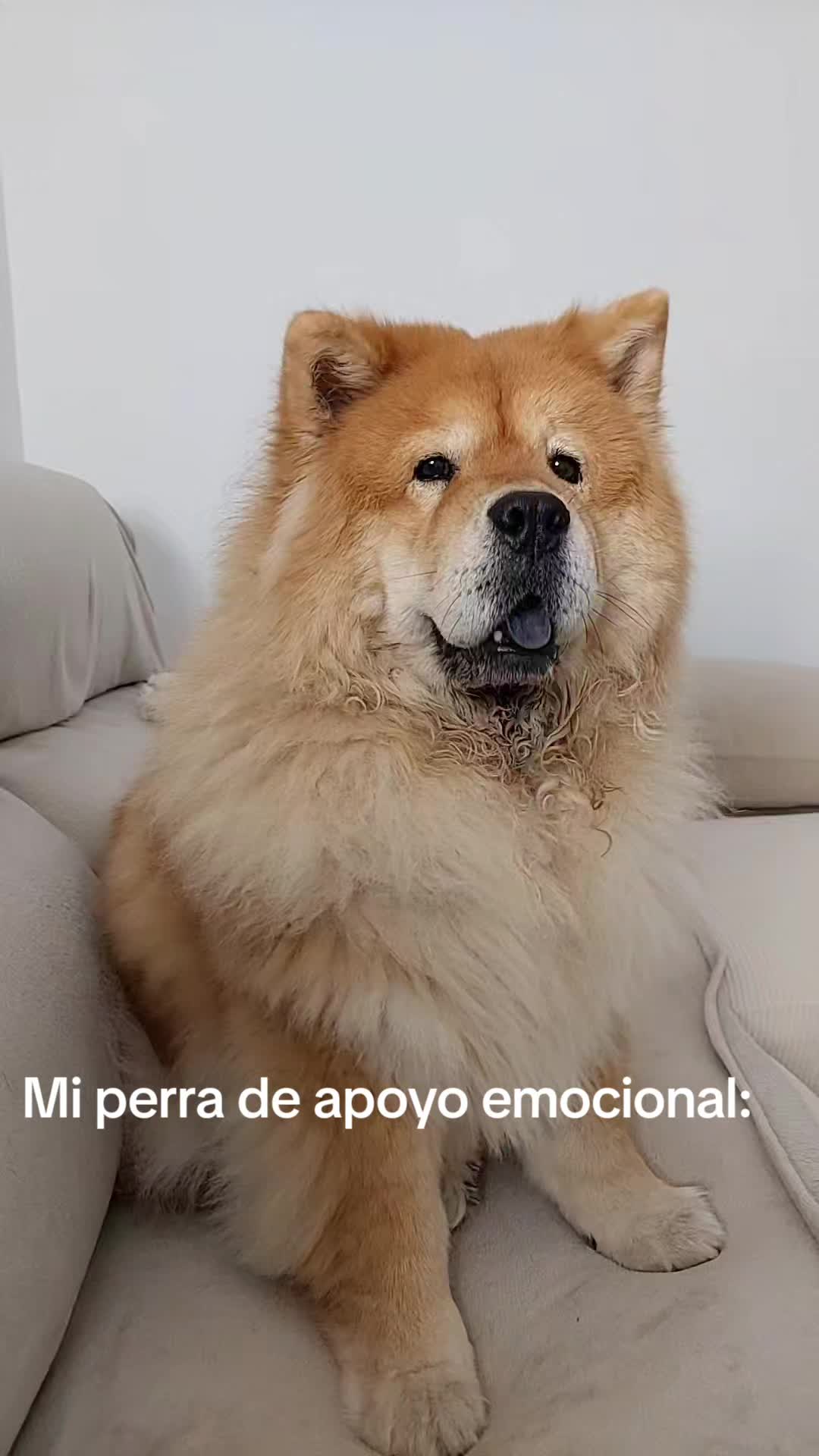 @Kenya y Daddy🐶
