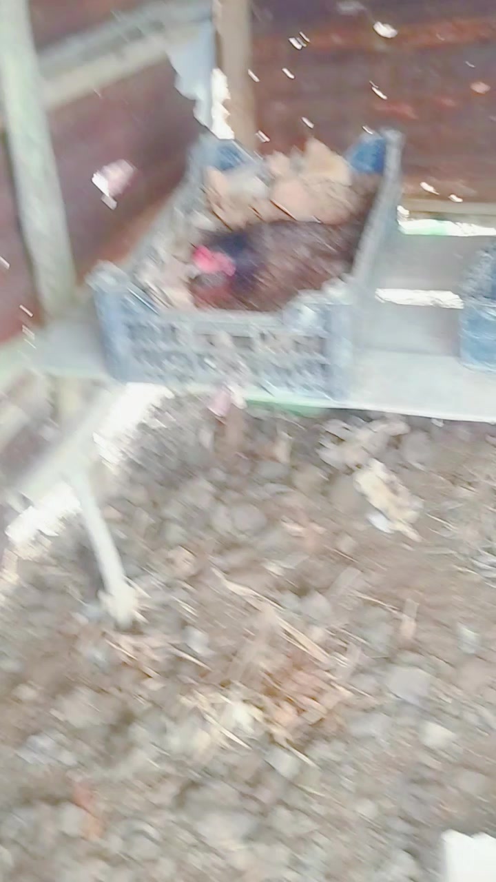 @Đờ-Gi Tâm🦐🦀