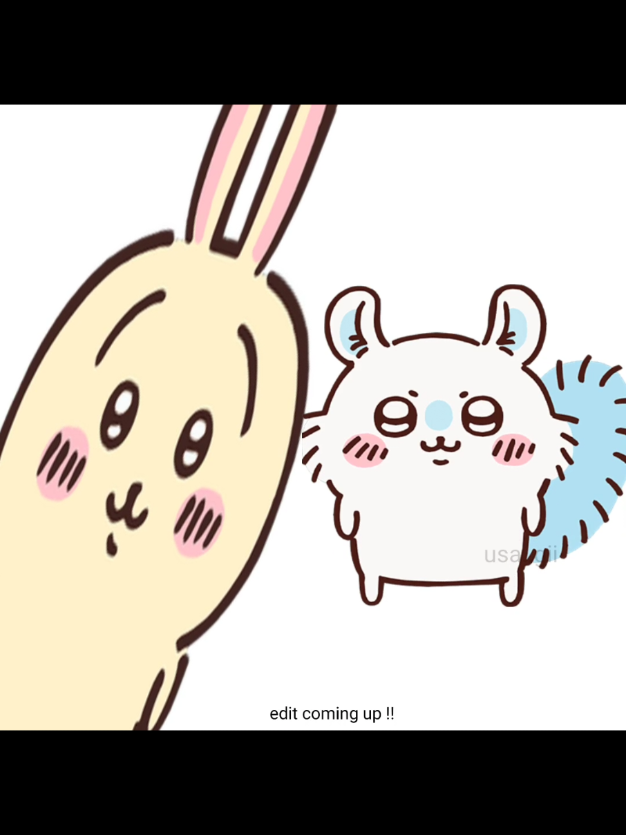 @⸝⸝ Bev ✦ 🐰🍮 // #0 Usagi fan
