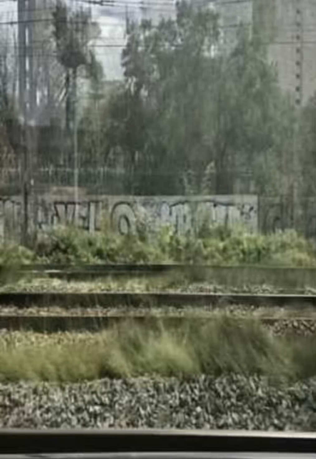 @r1(co)tal1ne