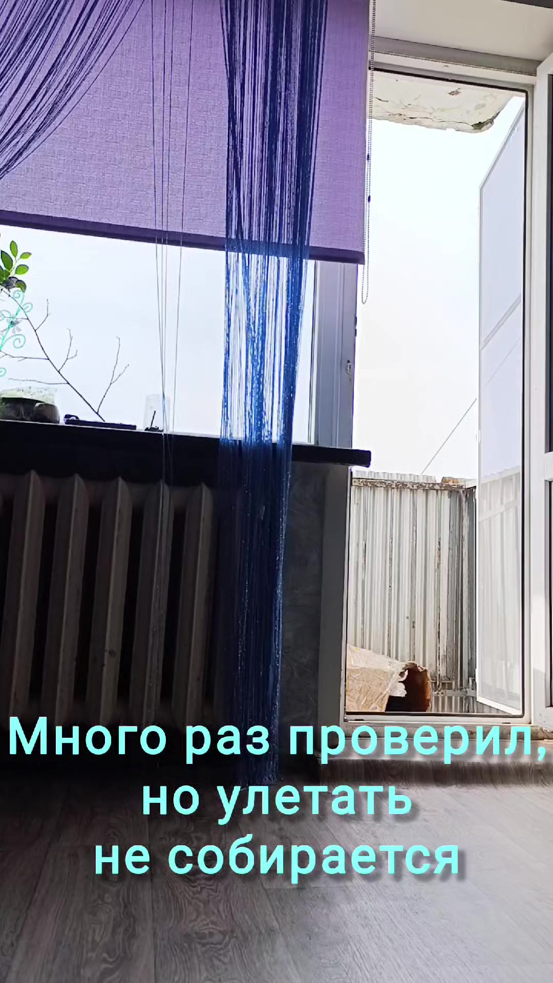 @Элодея